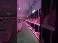 Прозрачный экран решетки с светодиодным освещением Прокат событий Стеклянный занавес82